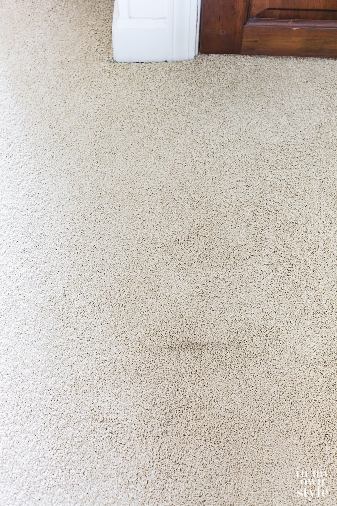 How to remove stains in carpet 1..2...3...