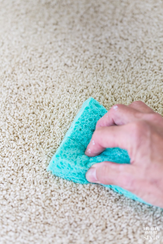 Carpet and rug stain removal trick