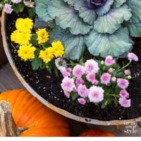 Easy-fall-decorating-ideas-using-natural-elements. Plus lots of affordable autumn decorating ideas from DIY bloggers.