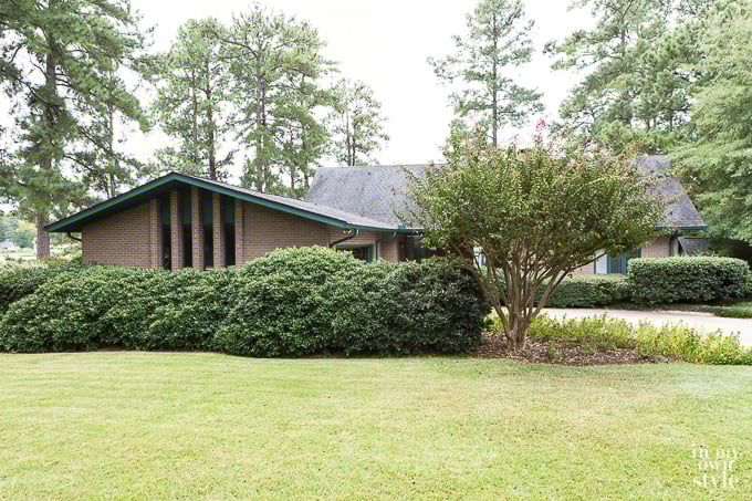What is the easiest way to cut down shrubs