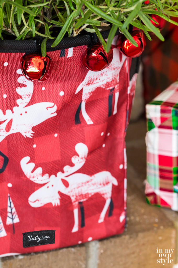 Nature-gifts-to-give-at-Christmas
