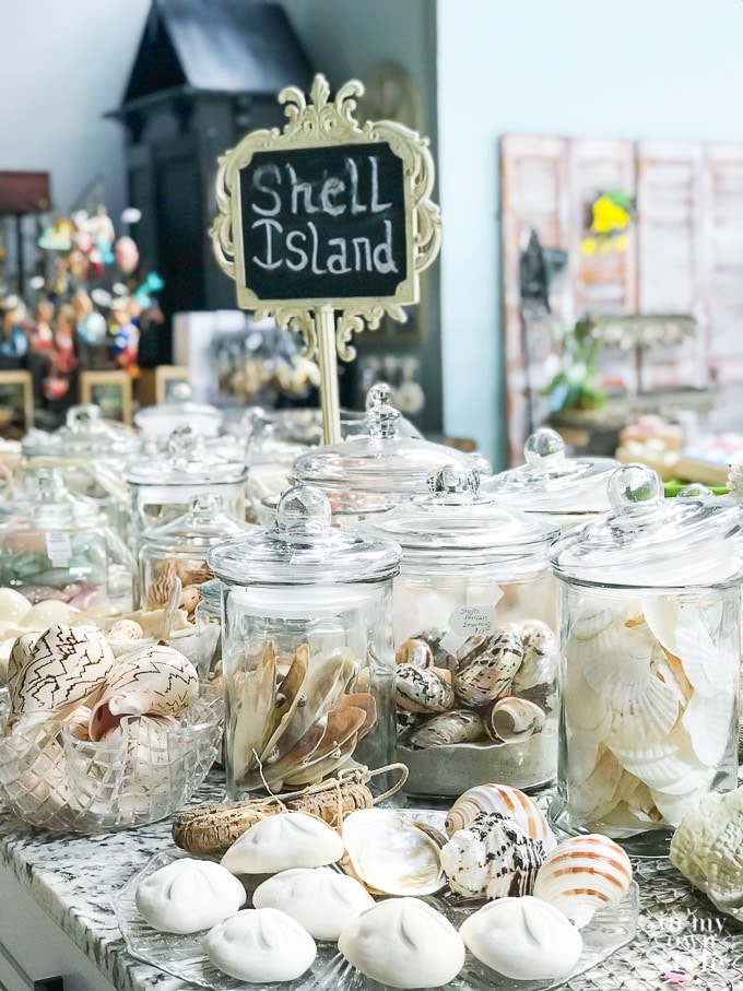 Shells for sale