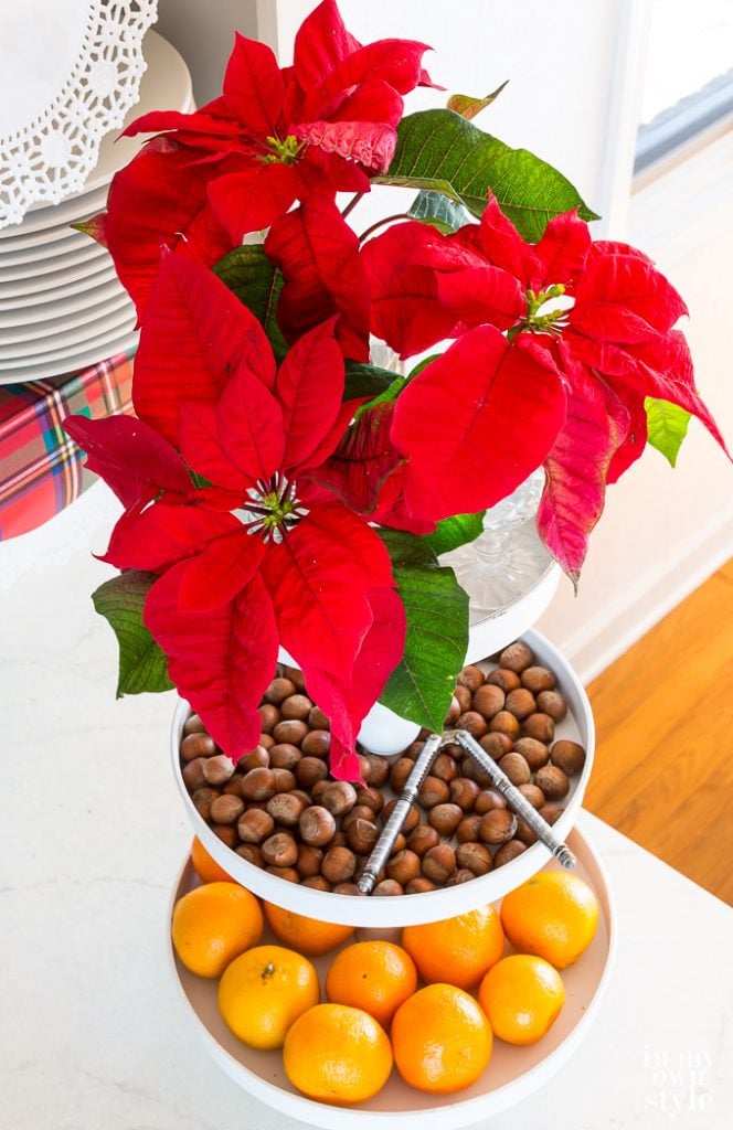 Christmas flowers and nuts as decoration in a kitchen