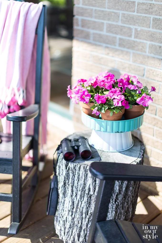 Trisha Yearwood Home Collection-