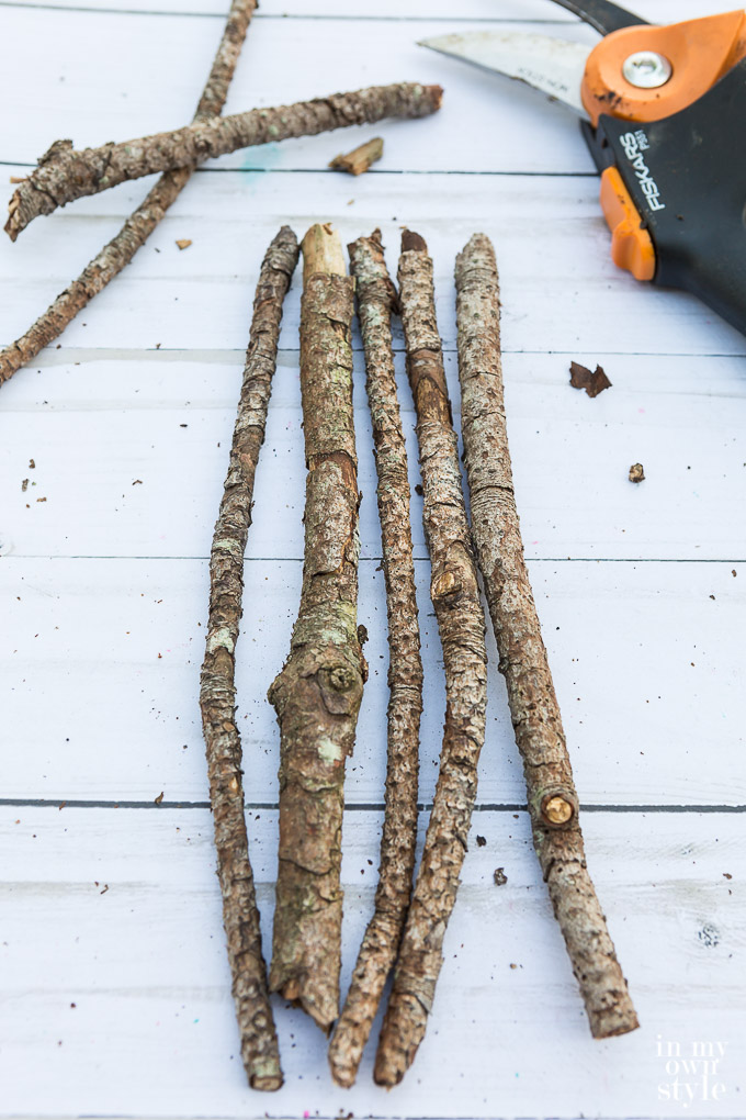how to cut twigs and tree branches to make a twig vase