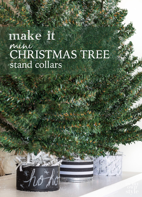 3 mini Christmas trees with black and white stand collars lined up in a row on a table
