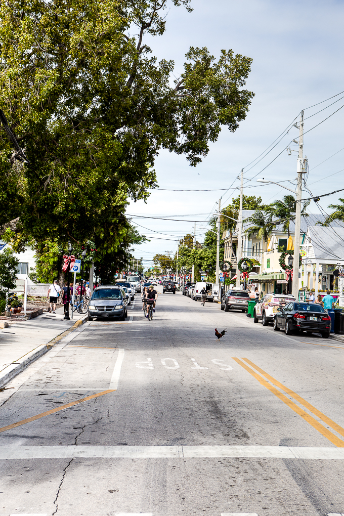 Street in Key West, Florida