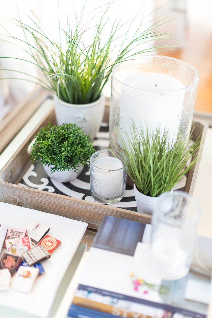 Faux green plants grouped together on a coffee table