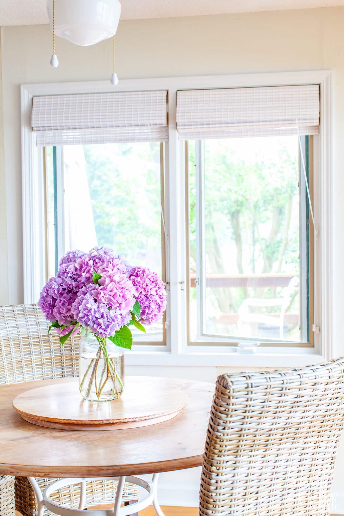 Just cut pink hydrangeas from the garden in a vase on a kitchen table.