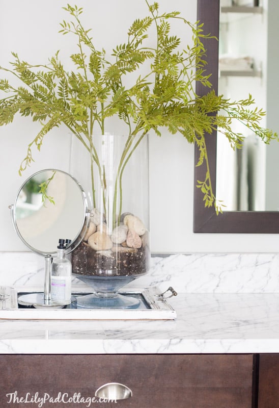 how to ideas to arrange indoor plants in glass vases