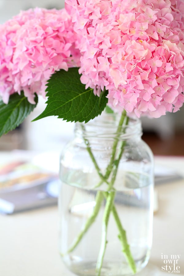 pink hydrangeas t in glass vase that won't wilt