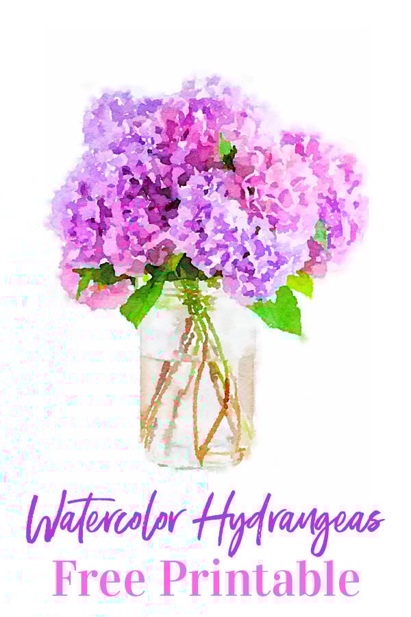 Watercolor Hydrangeas Free Printable
