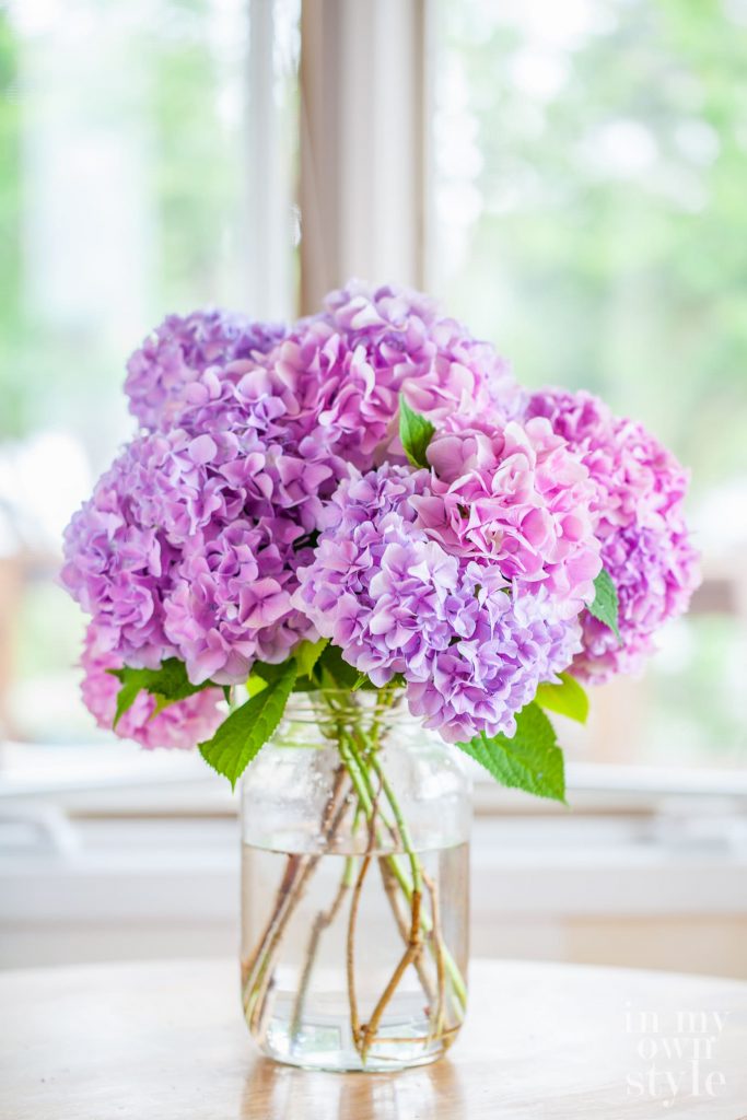 pink hydrangeas in a large pickle jar found at a thrift store