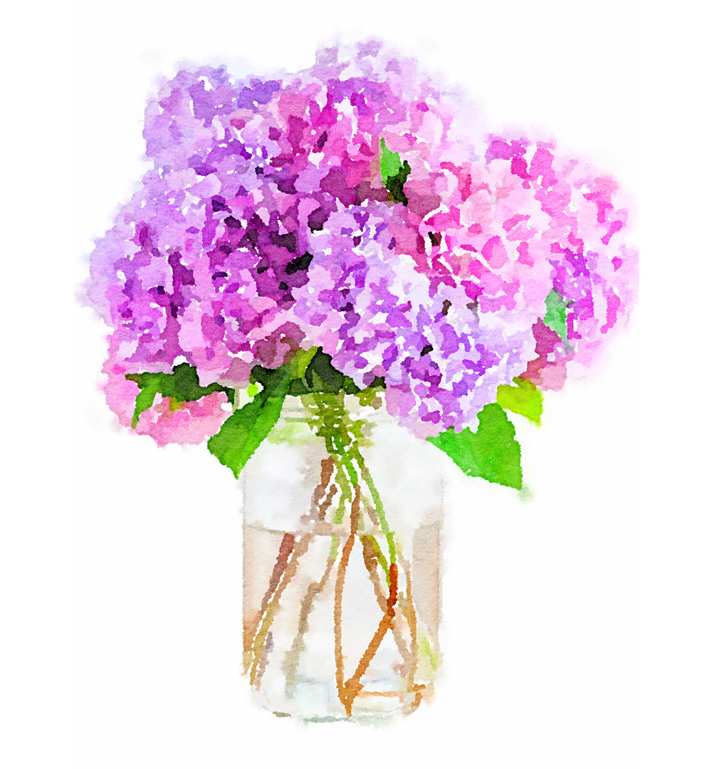 Free Printable watercolor of Pink hydrangeas