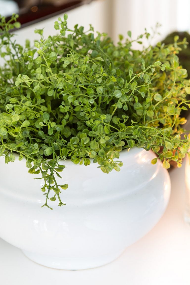 Fake greenery in ceramic white planter on buffet under TV