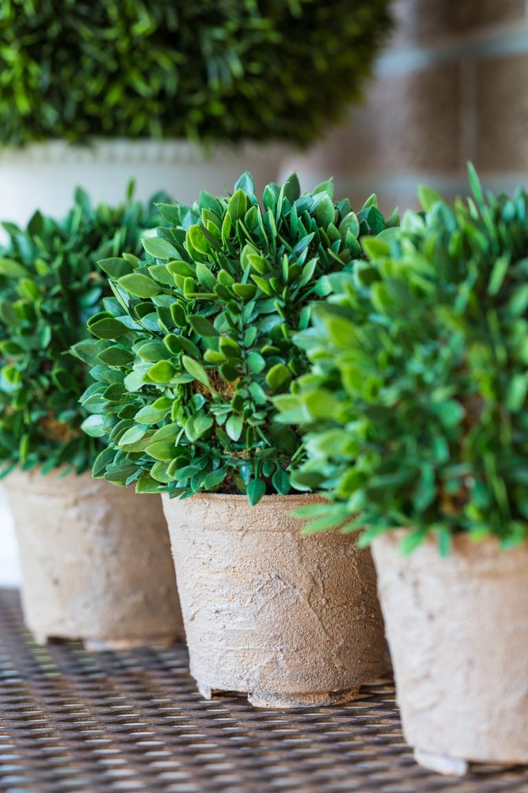 Plastic flower pot makeover