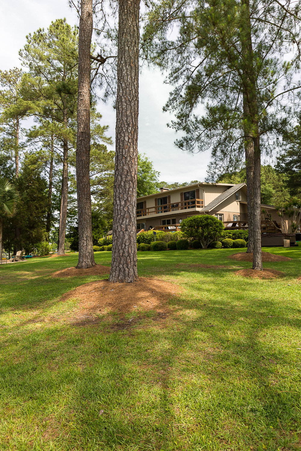 Lake house in rustic tree lined setting