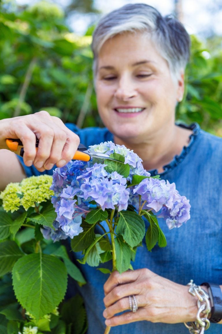 Diane of In My Own Style cutting hydrangeas for flower arranging
