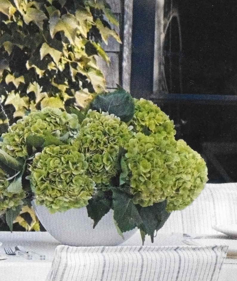 large white bowl vase with light green hydrangeas on outdoor table