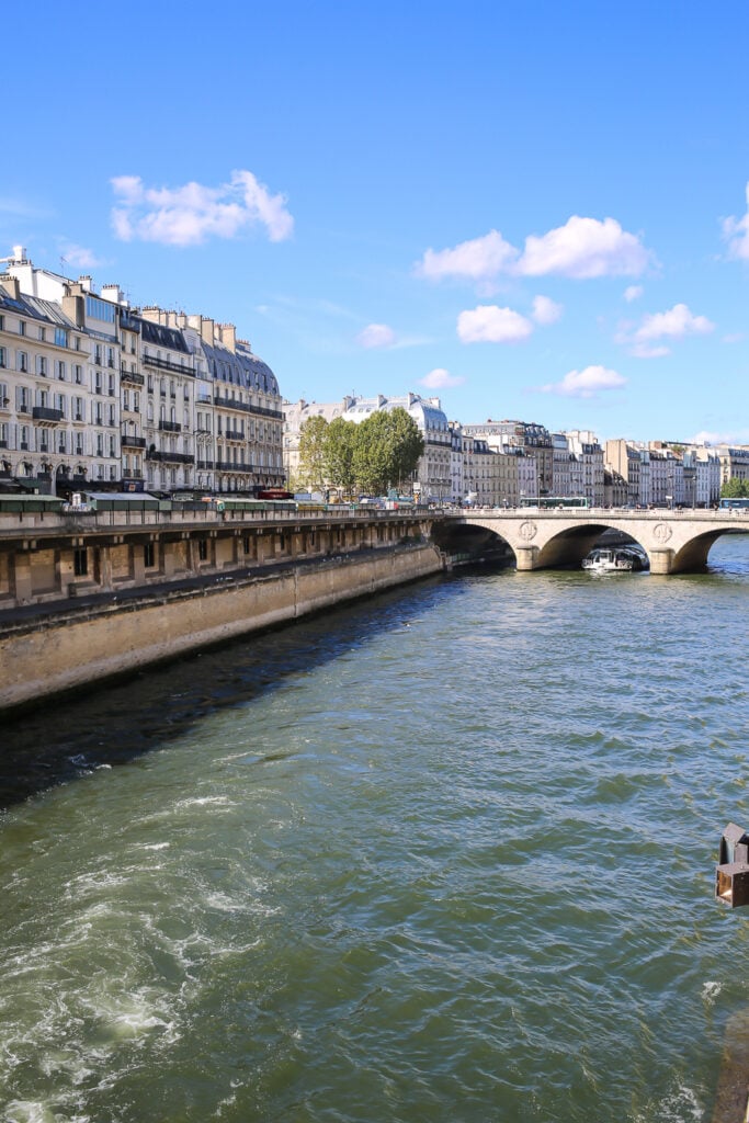 The Seine in Paris viewed from a Bridge near Notre Dame Cathedral in Paris