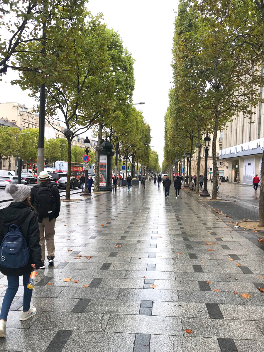 Rainy Day in Paris