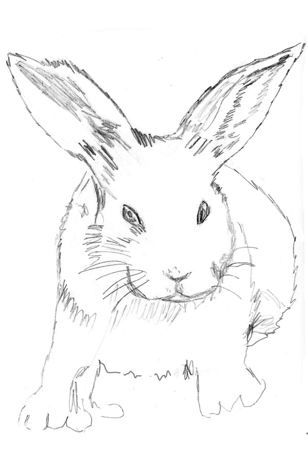 Bunny Chalkboard Art