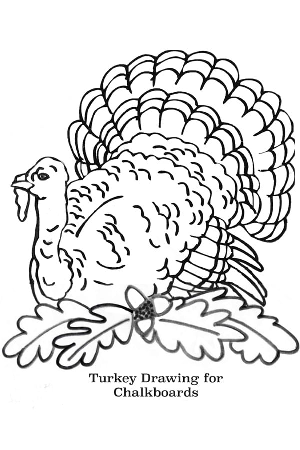 Free-Printable-Turkey-Line-Drawing