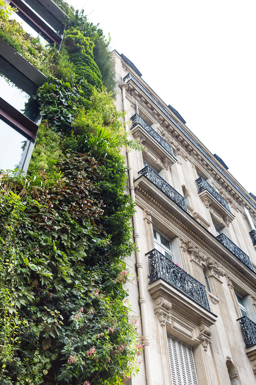 Facade of buildings in Paris