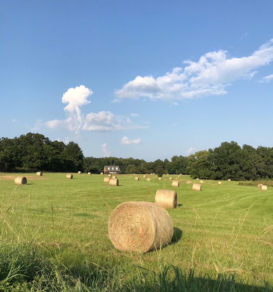 rural area around lake murray sc