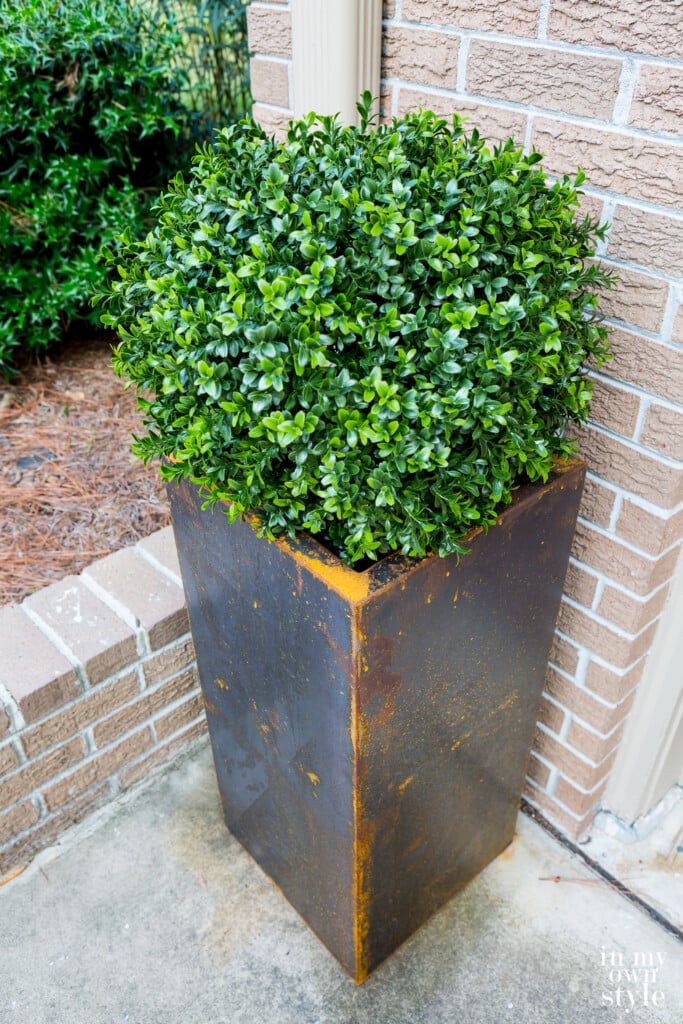 Tall modern black Corten steel planter after a week of being outside. Fake boxwood in planter.