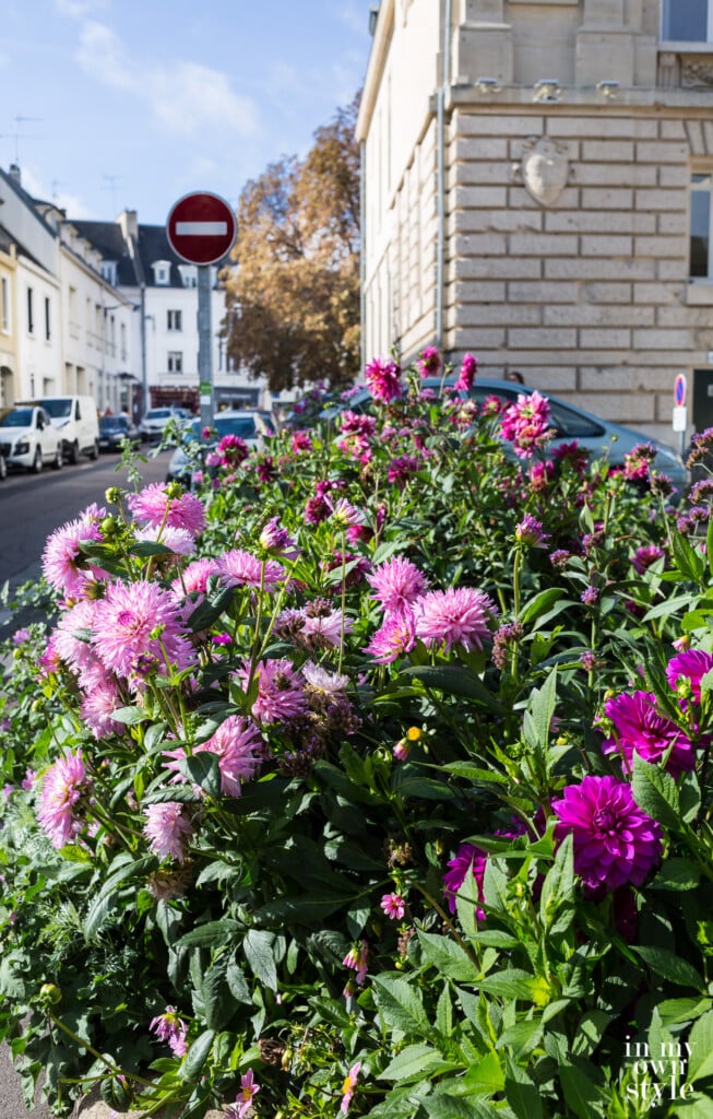 Flower pots along the street in Vernon France