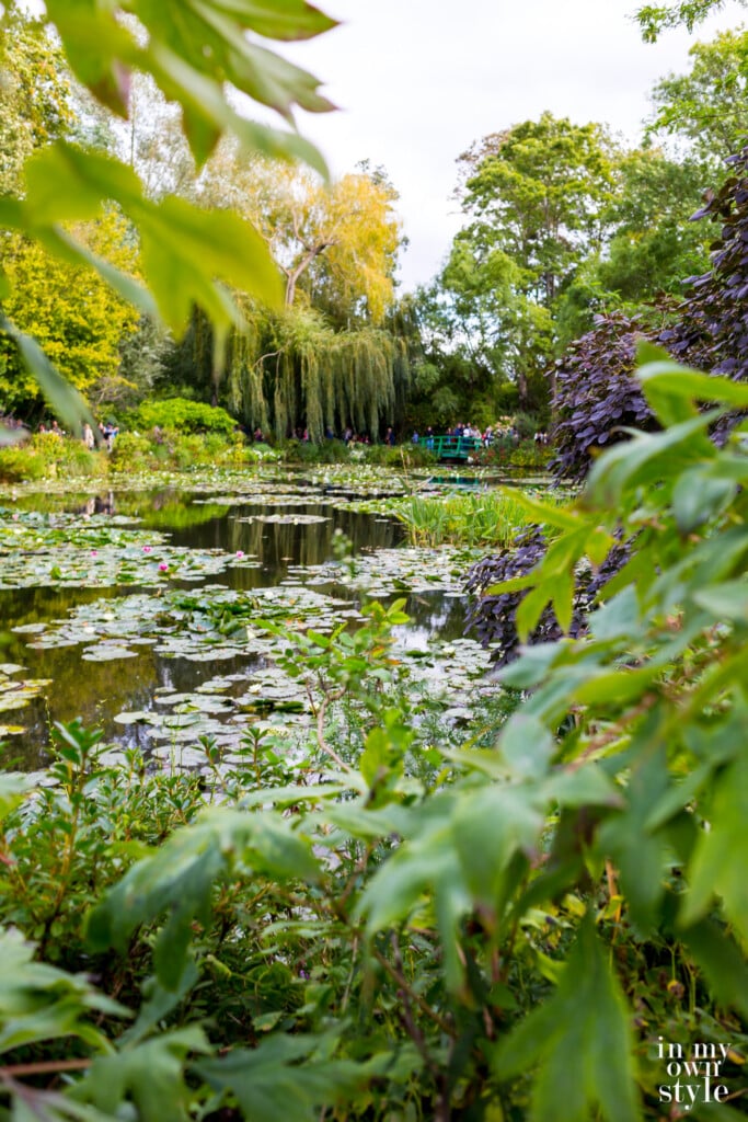 Claude Monet's Garden Water Lilies