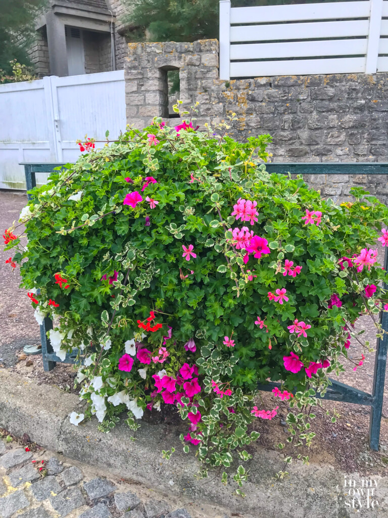 Flowers along a cobblestone street on the coast on the northern coast of France