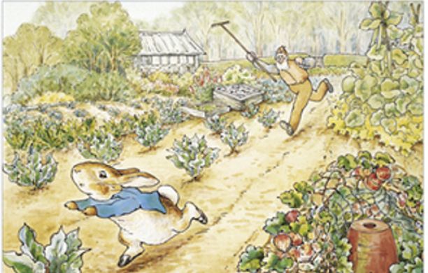Mr McGregor chasing Peter Rabbit out of his garden