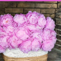 A large two toned white and natural basket filled with pink peonies in an empty fireplace.