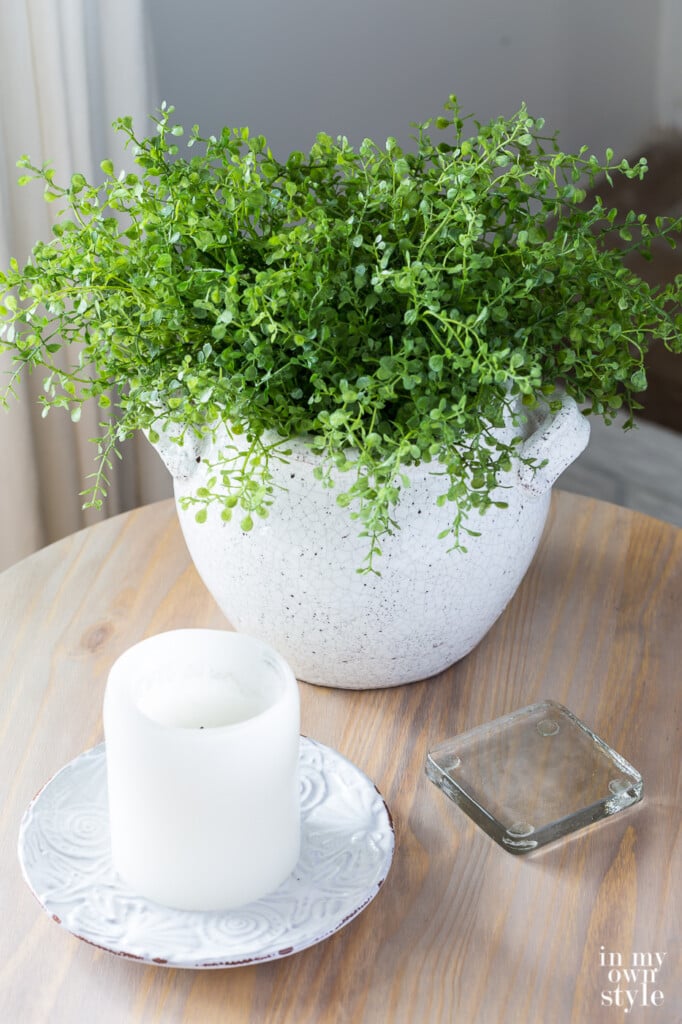 Plant in white planter along with a white candle and clear glass coaster. These items are on a side table in a living room.