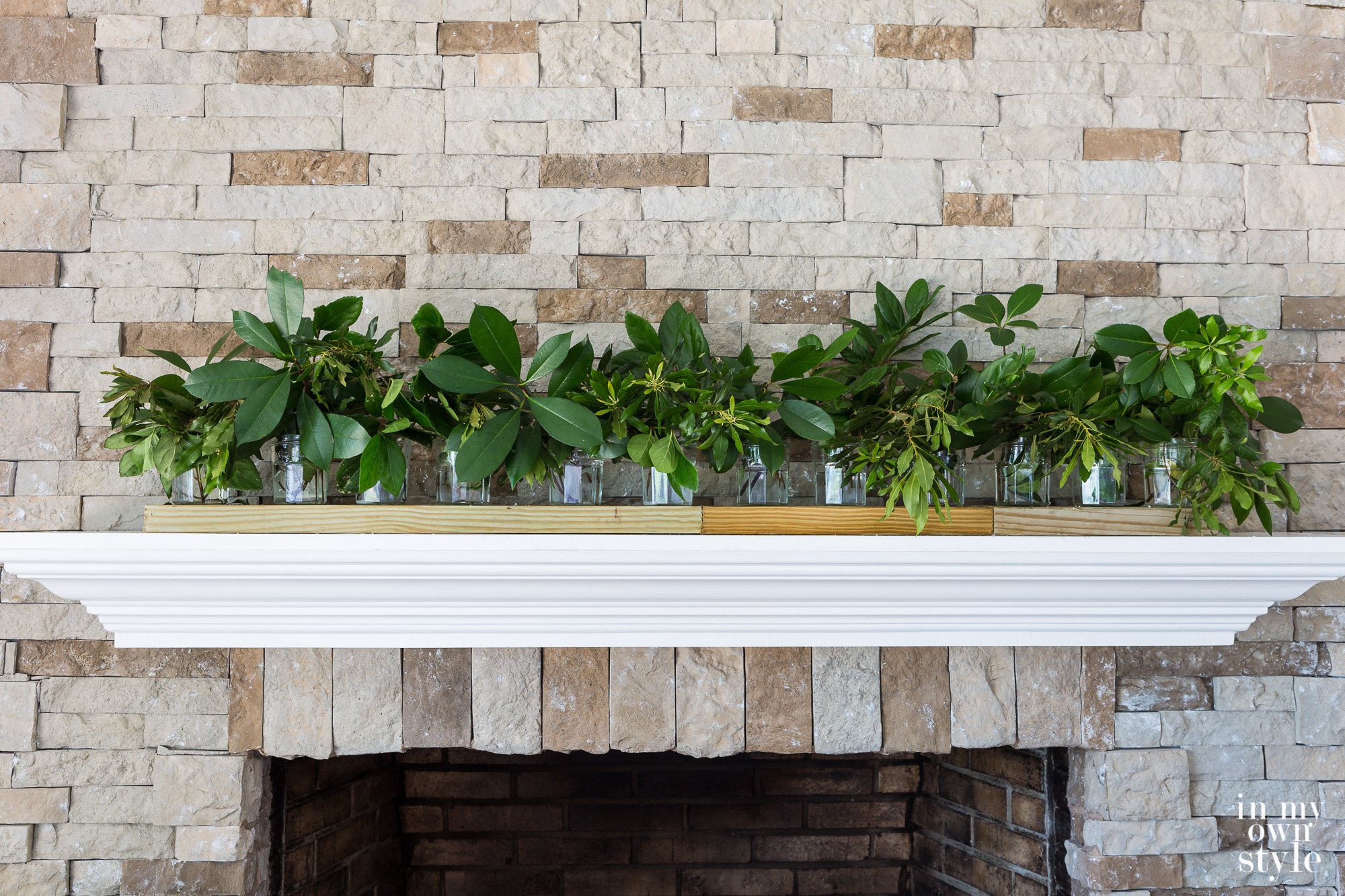 Shrub clippings in clear glass jelly jars lined up on a 2 x 4.