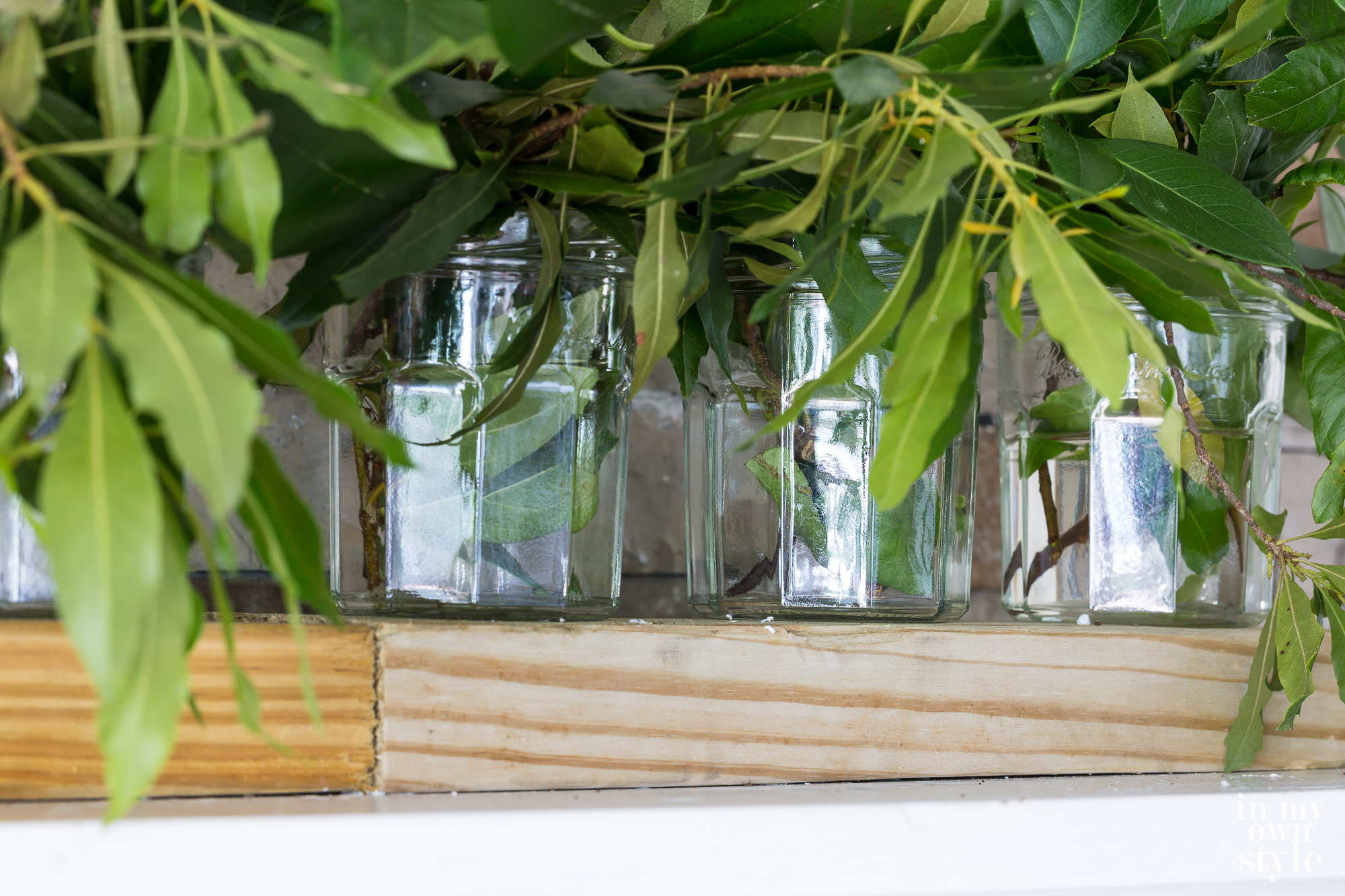 Close up of clippings from shrubs lined up in glass jars on a wood 2 x 6 on a mantel.