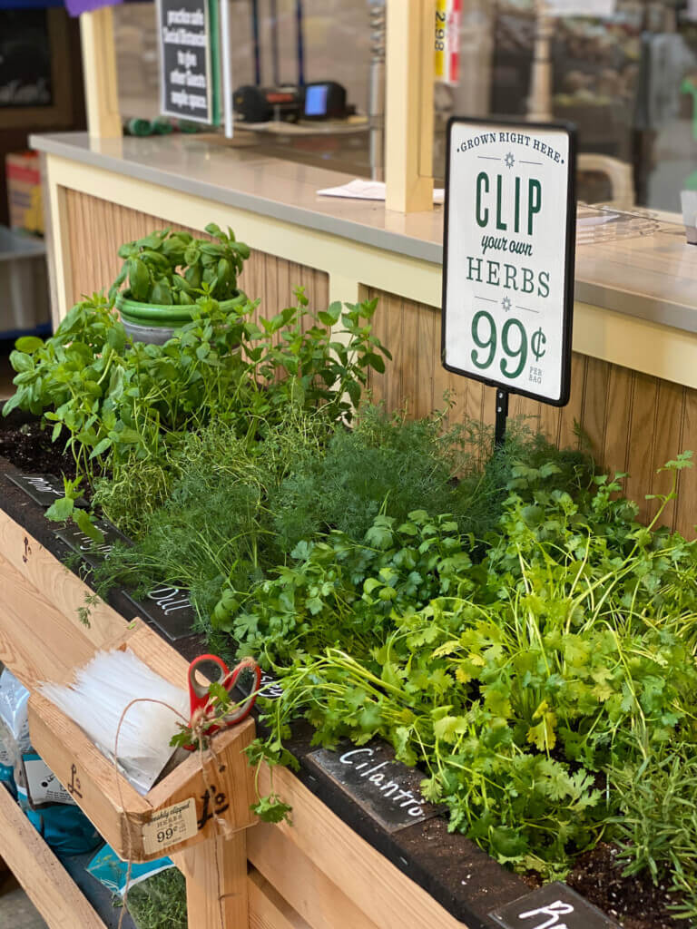 Snipping herb garden at Lowes supermarket.