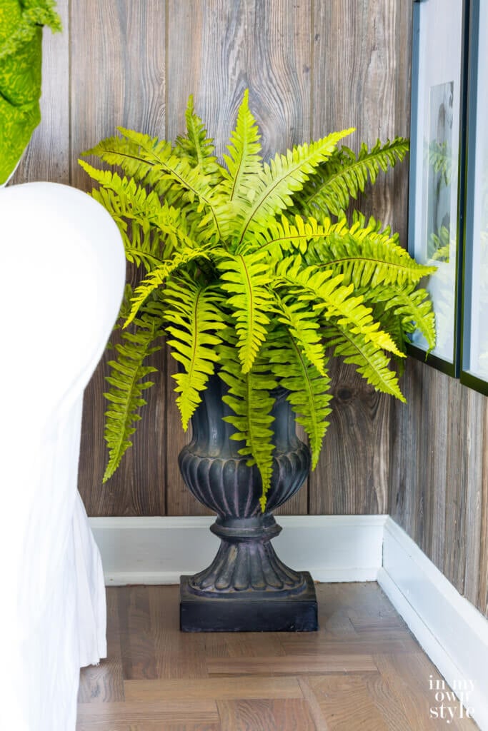 Black garden urn with fern used to decorate a living room.