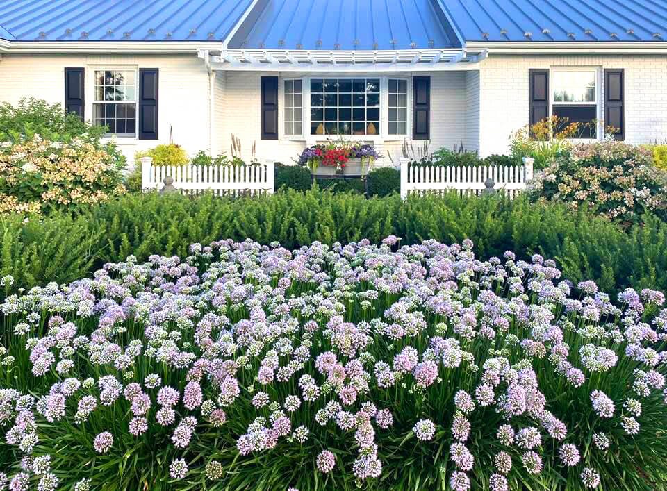 flower-garden-in-front-of-house