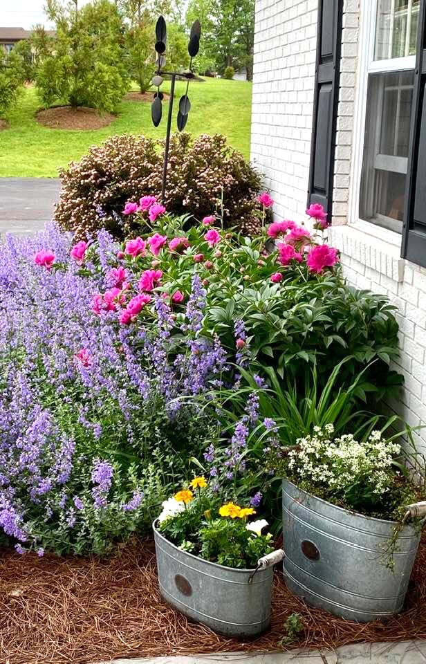 flowers-and-galvanized-buckets
