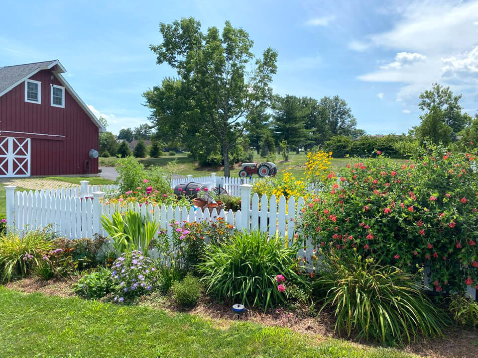 house-backyard-with-fenced-in-veggie-garden