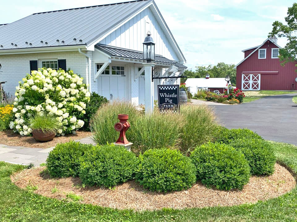 whistle-pig-farm