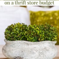 Faux finished ceramic planter now looks like aged concrete. Text overlay says Easy DIY faux concrete on a thrift store budget.