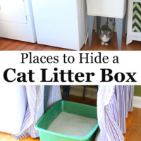 cat litter box ideas hidden laundry room