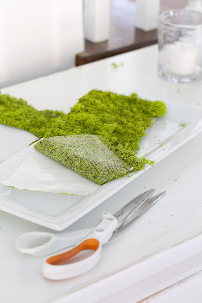 Attaching sticky sheet moss to create  tray.