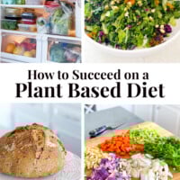 4 images of plant based healthy food. Text overlay says How to succeed on a plant based diet.