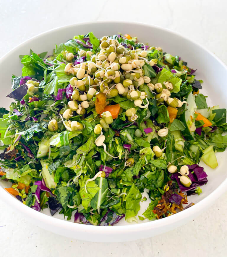 Salad and bean sprouts on white plate.