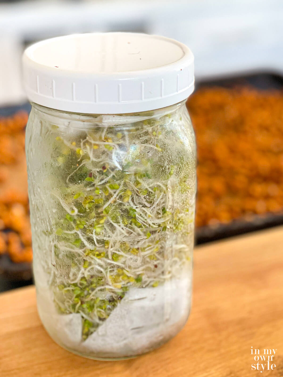 Broccoli sprouts in a wide mouth Mason jar on kitchen counter.
